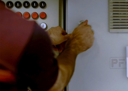 Un 1 1601878515 32323 260x185 1